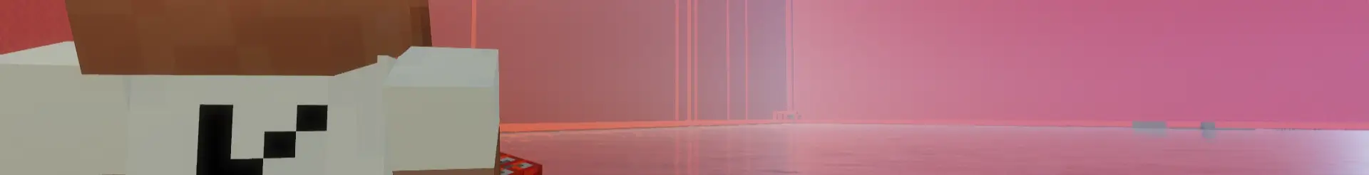 Banner of the server